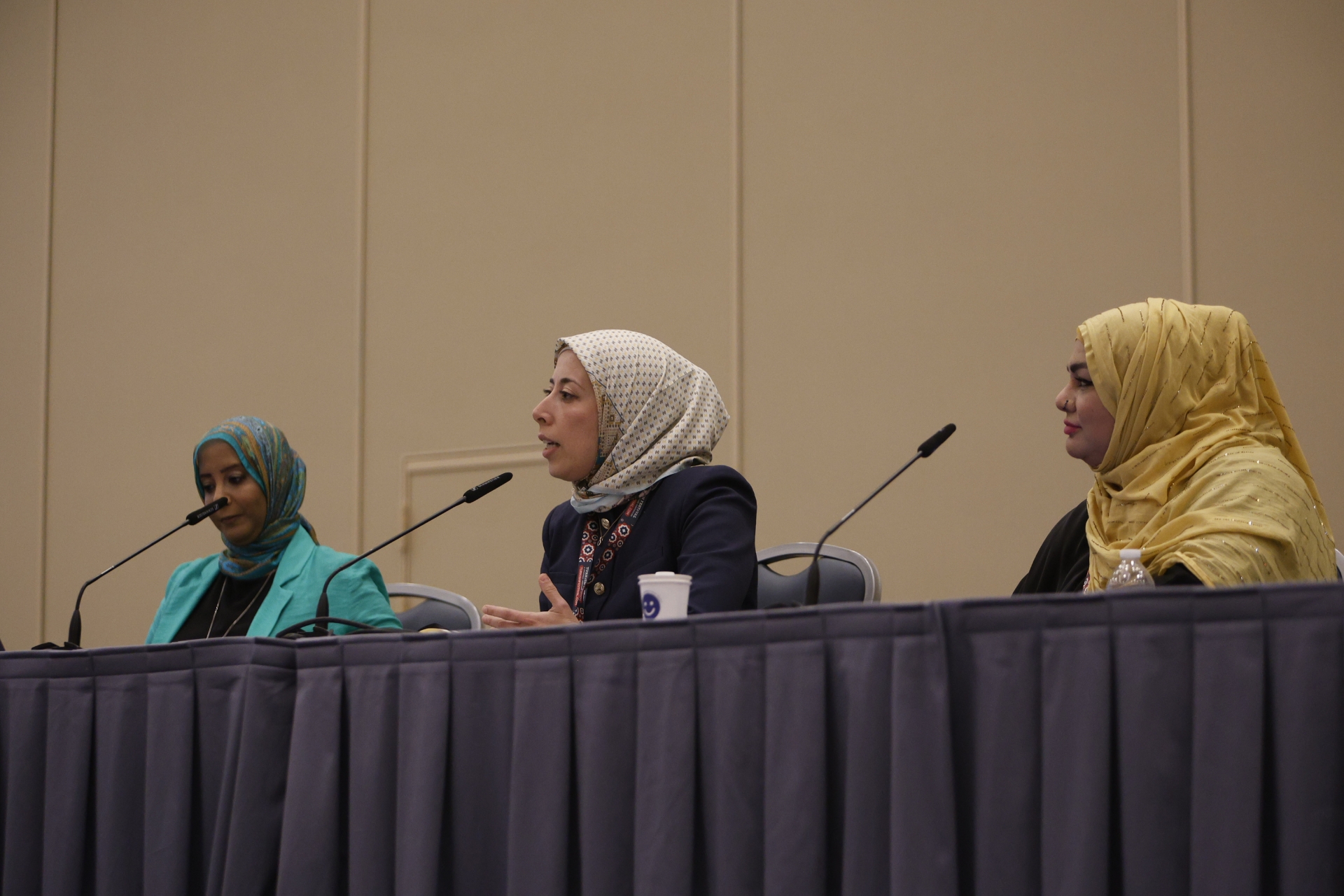 Fullscreen Gallery Image